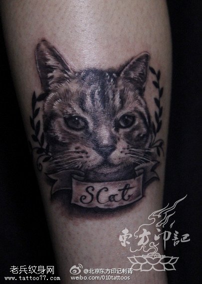 漂亮可爱的猫咪纹身图案