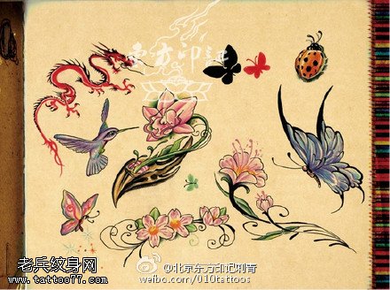 一组好看的花鸟蛇手稿纹身图案