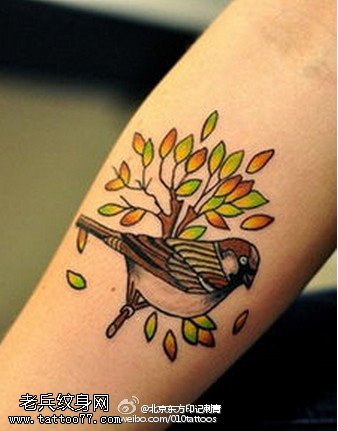 精致可爱的喜鹊纹身图案