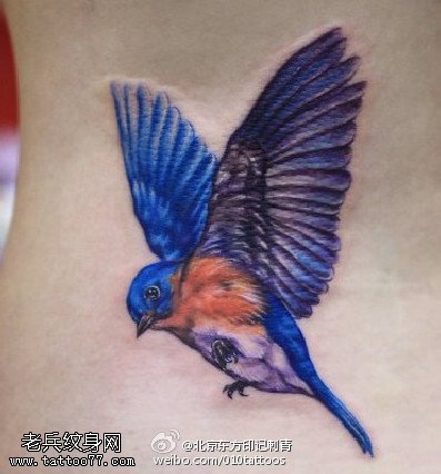 展开翅膀的漂亮小鸟纹身图案