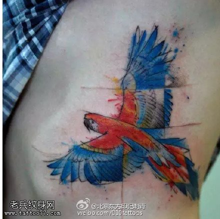 彩绘抽象的小鸟纹身图案