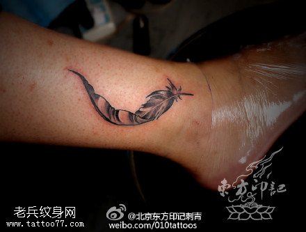 优雅精致的羽毛纹身图案