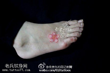 彩绘清新的樱花纹身图案