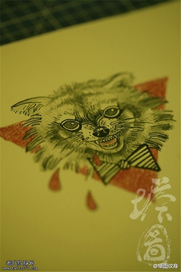 猫咪纹身手稿图片