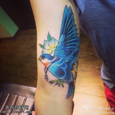 手臂彩色燕子纹身图