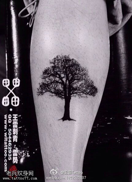 郁郁葱葱大树纹身图案