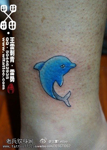 可爱萌呆海豚纹身图案