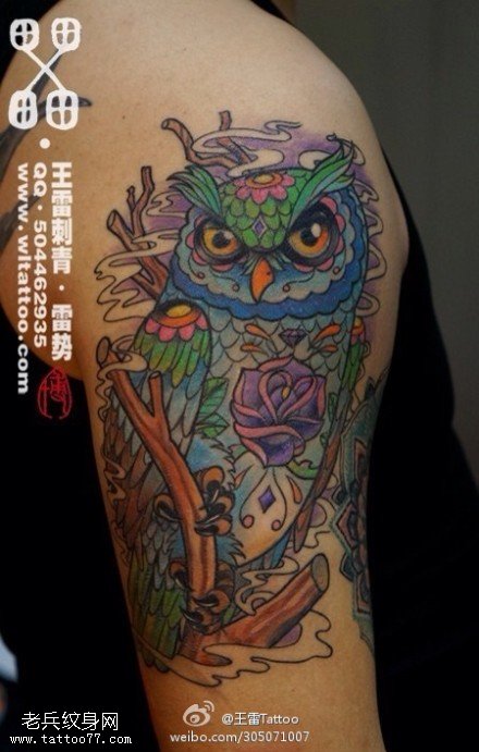 色彩艳丽猫头鹰纹身图案