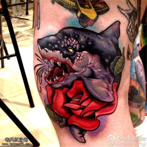 腿部彩色鲨鱼玫瑰花纹身图片