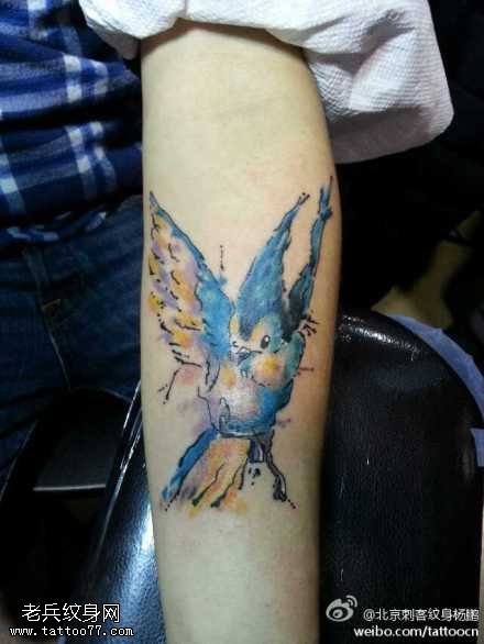 一只羽毛蓝艳小鸟纹身图案