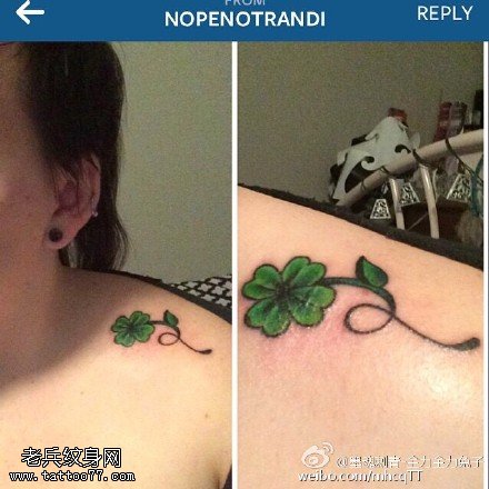 肩膀蔓藤四叶草纹身图案