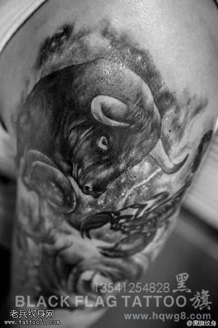 一组关于星座的纹身图案