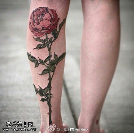 小腿荆棘的玫瑰纹身图案