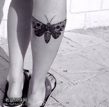 小腿上的飞蛾纹身图案
