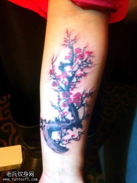 傲立霜雪梅花纹身图案