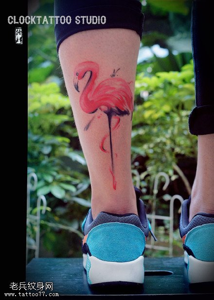 美丽烈火鸟纹身图案