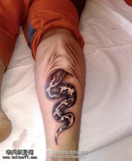 惊悚逼真蛇钻进皮肤里纹身图案