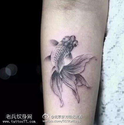 精致好看的小金鱼纹身图案