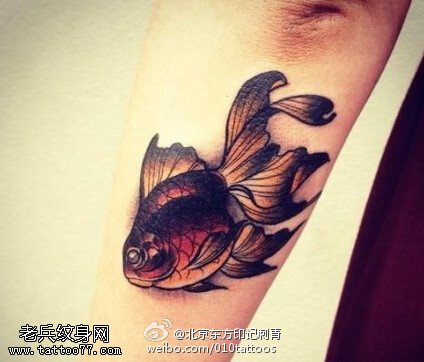 胳膊上逼真的小金鱼纹身图案
