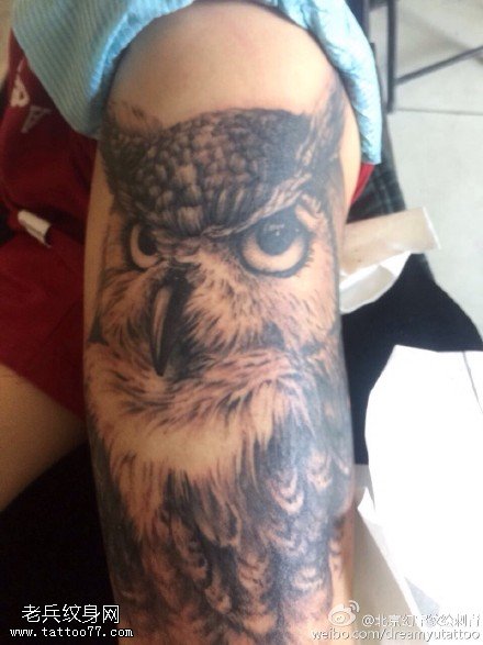 大腿逼真写实猫头鹰纹身图案大