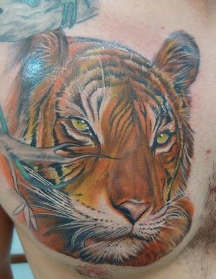 肩部霸气老虎纹身图图片