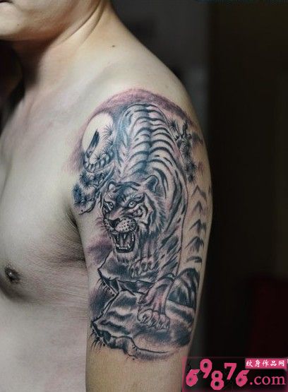 霸气下山虎手臂纹身图片