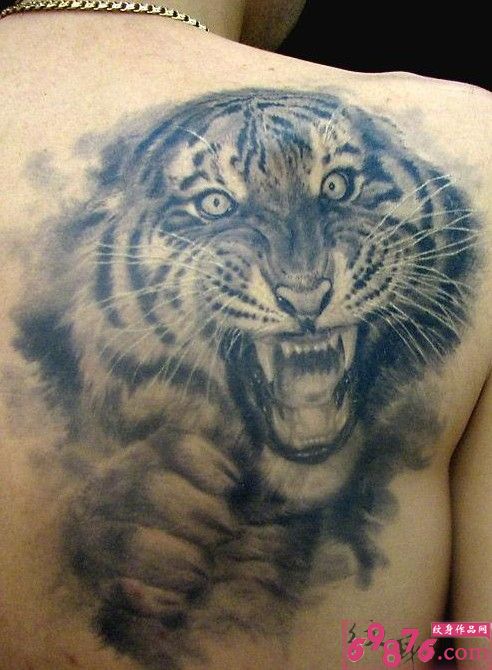 后肩创意中国水墨画老虎纹身图片