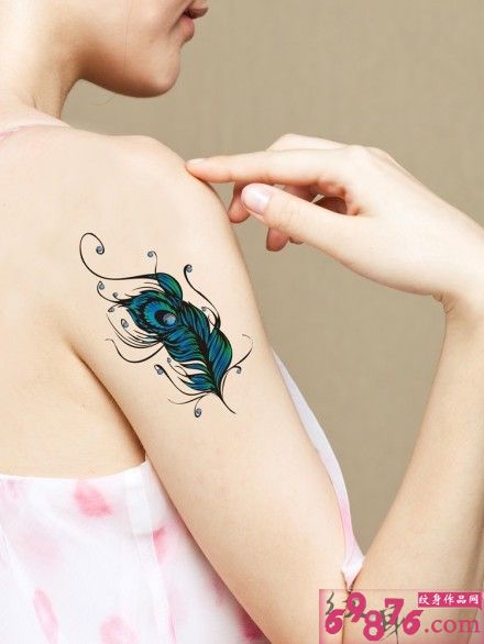 手臂蓝色羽毛孔雀图片