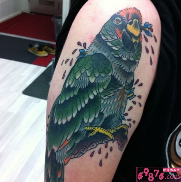 彩色鹦鹉手臂纹身图片