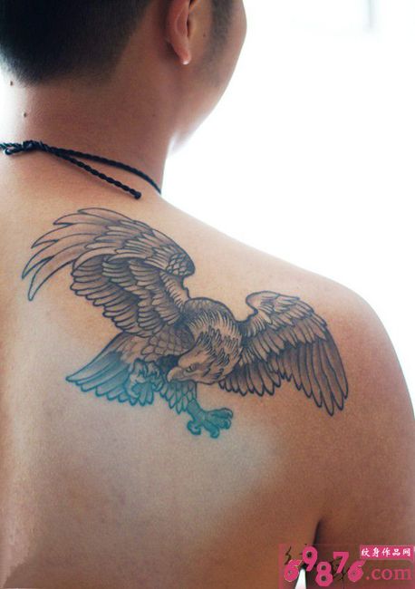 男人肩部老鹰纹身图片