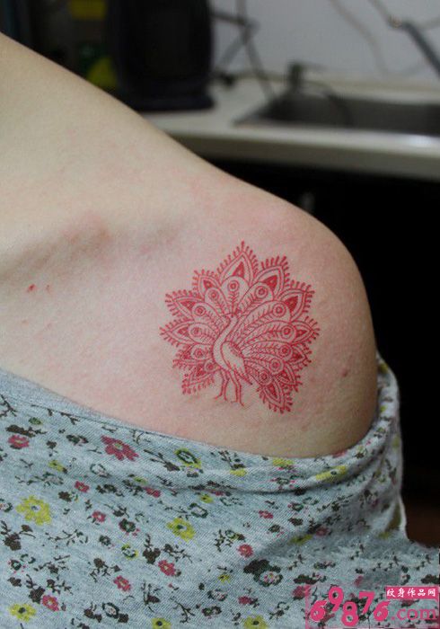 红色小孔雀唯美肩部纹身图片