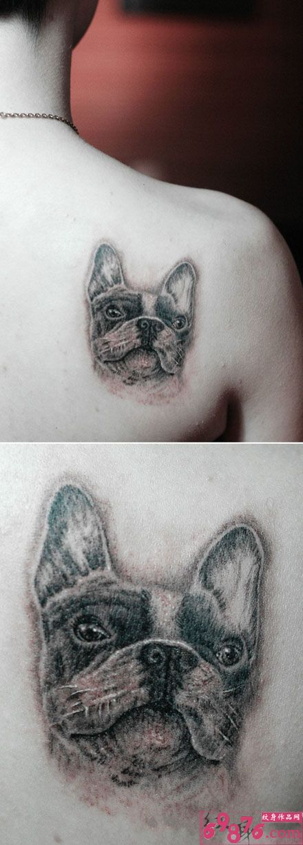 可爱小狗头像后肩纹身图片