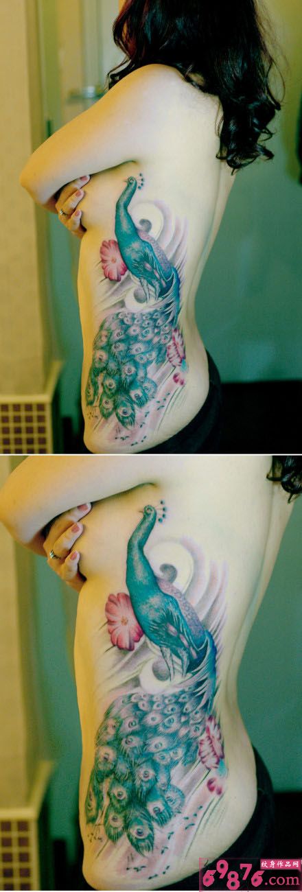 中国孔雀性感腰部纹身图片