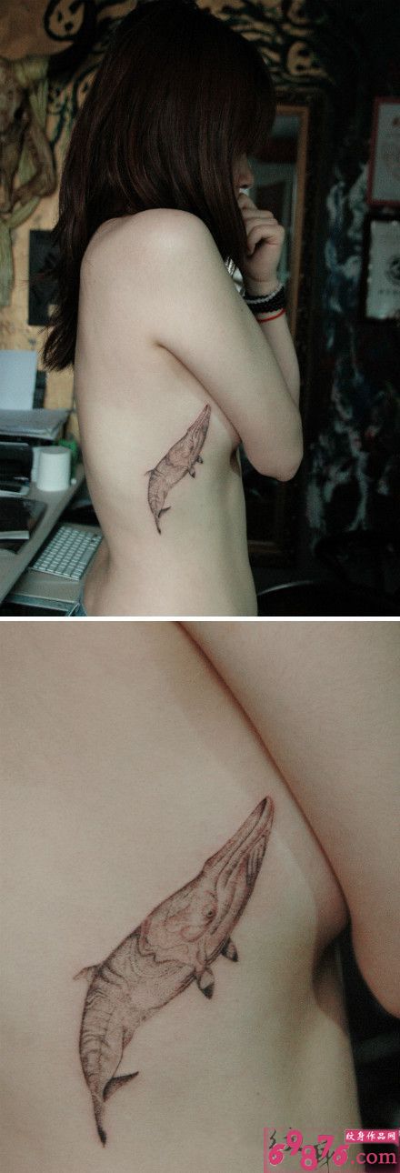 清新鲸鱼唯美腰部纹身图片