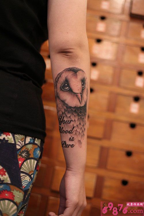 可爱猫头鹰手臂纹身图片