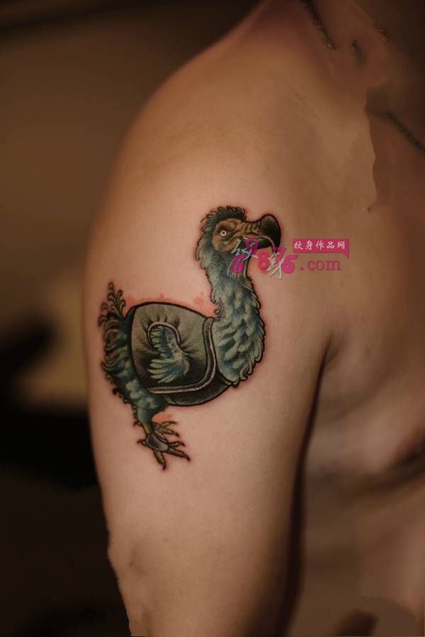 School风渡渡鸟手臂纹身图片