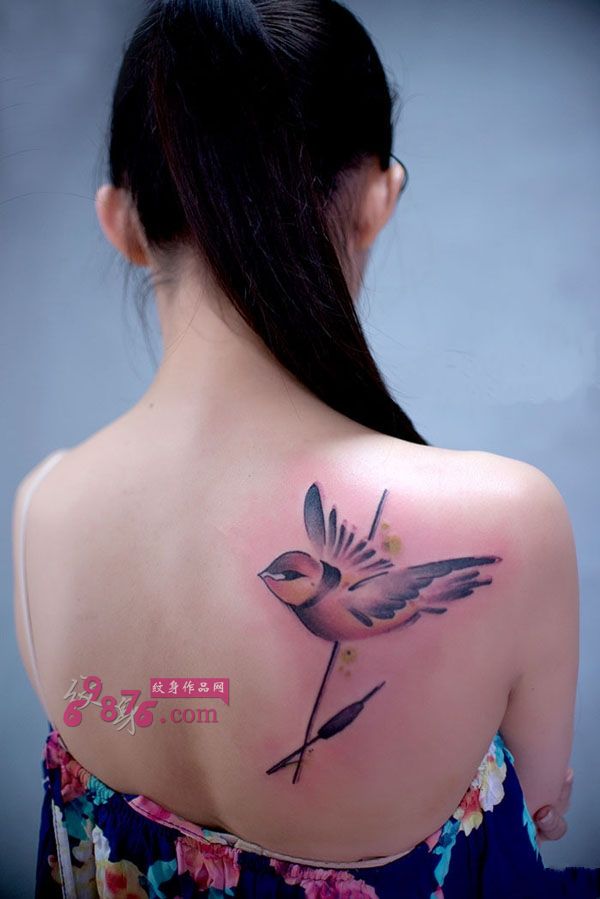 水墨风蜂鸟美女香肩纹身图片