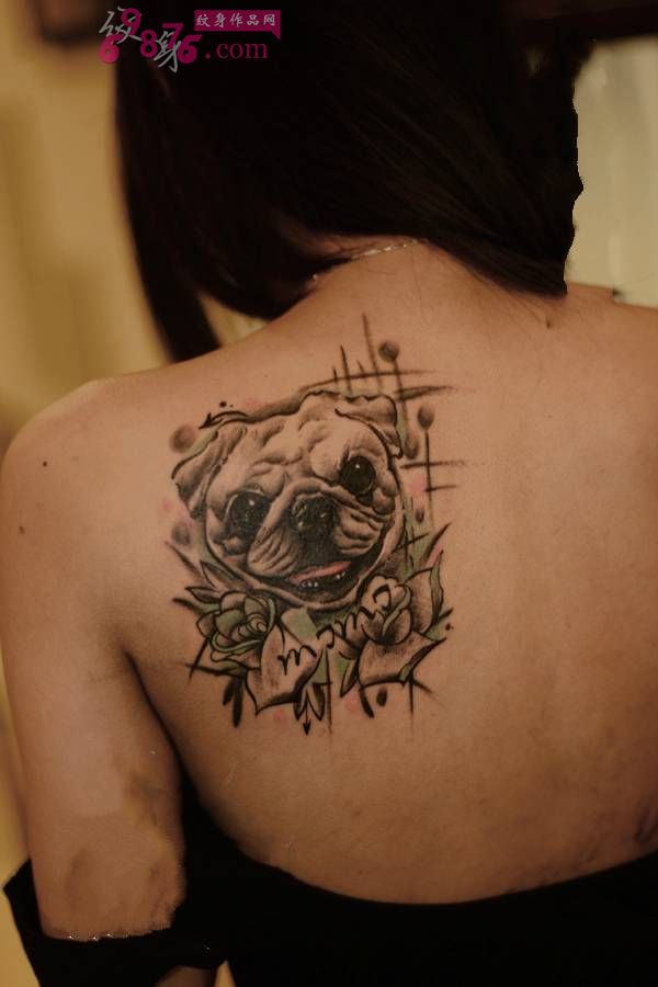 肩部可爱小沙皮狗纹身图片