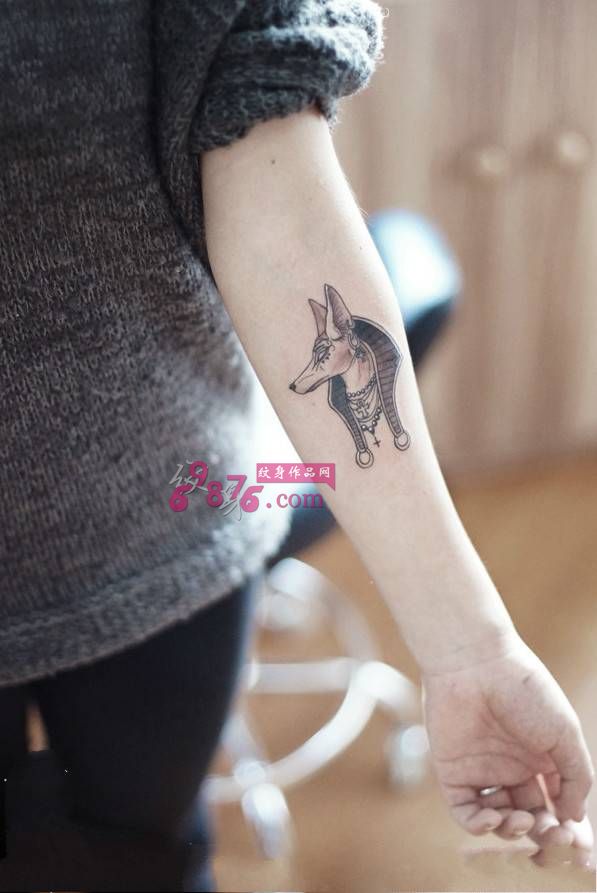 个性胡狼头阿努比斯手臂纹身图片