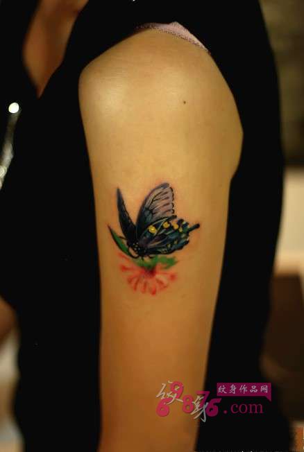 彩色蝴蝶手臂纹身图片