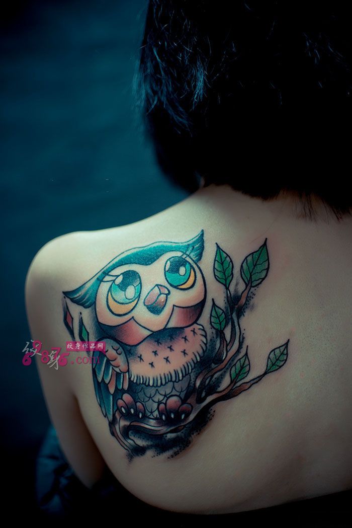 可爱猫头鹰香肩时尚纹身图片