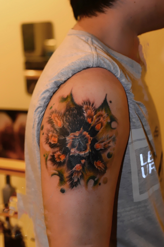 男人手臂霸气狼蜘蛛纹身图片