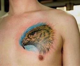 　男生左边胸部的老鹰纹身图图片