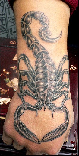 手臂蝎子纹身图图片