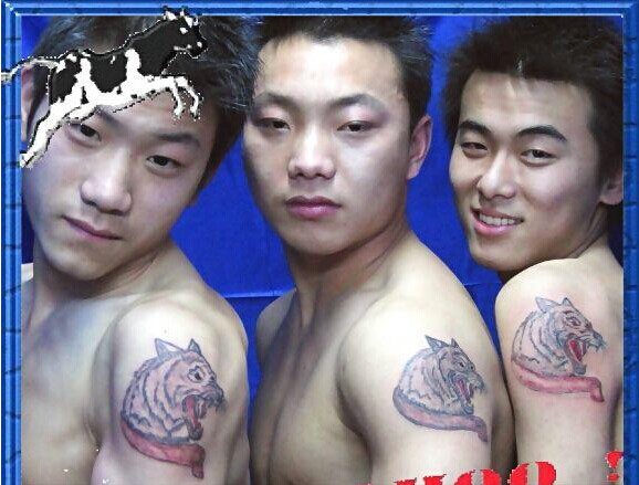 几个帅哥肩部彩色狼头纹身图案图片