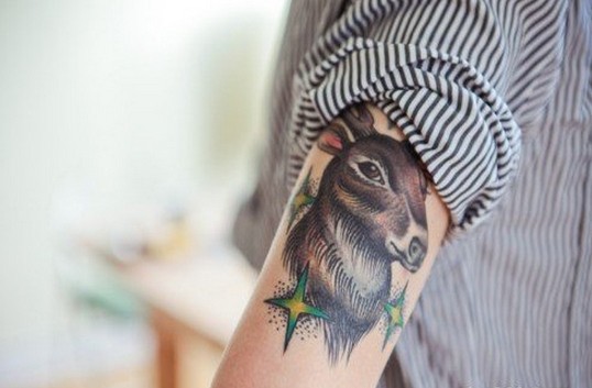 手臂彩色羚羊纹身图案图片