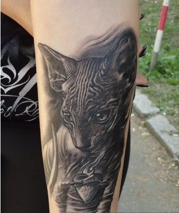 手臂上的黑猫纹身图案图片