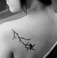 女生肩部唯美简单树枝小鸟纹身图片