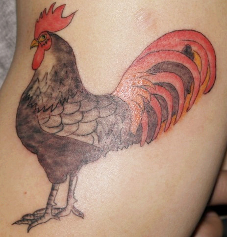 女生手臂生肖纹身图案图片图片