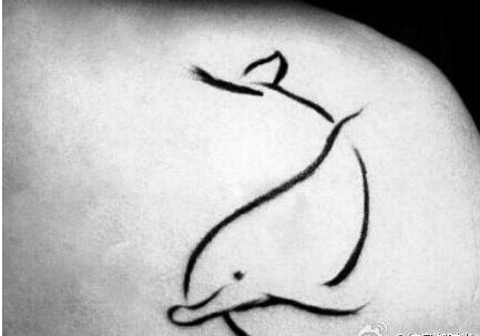肩部唯美简约海豚清新纹身图图片